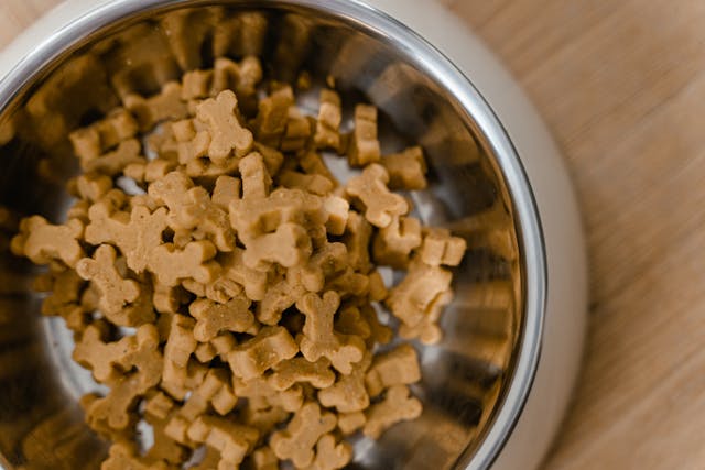 Best Dog Food for Sensitive Stomach: Top Picks for Happy, Healthy Pups