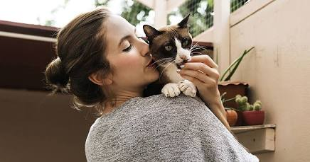How to Bond With a Rescue Cat Gently